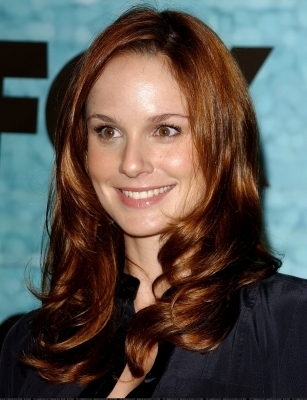 Sarah Wayne Callies
